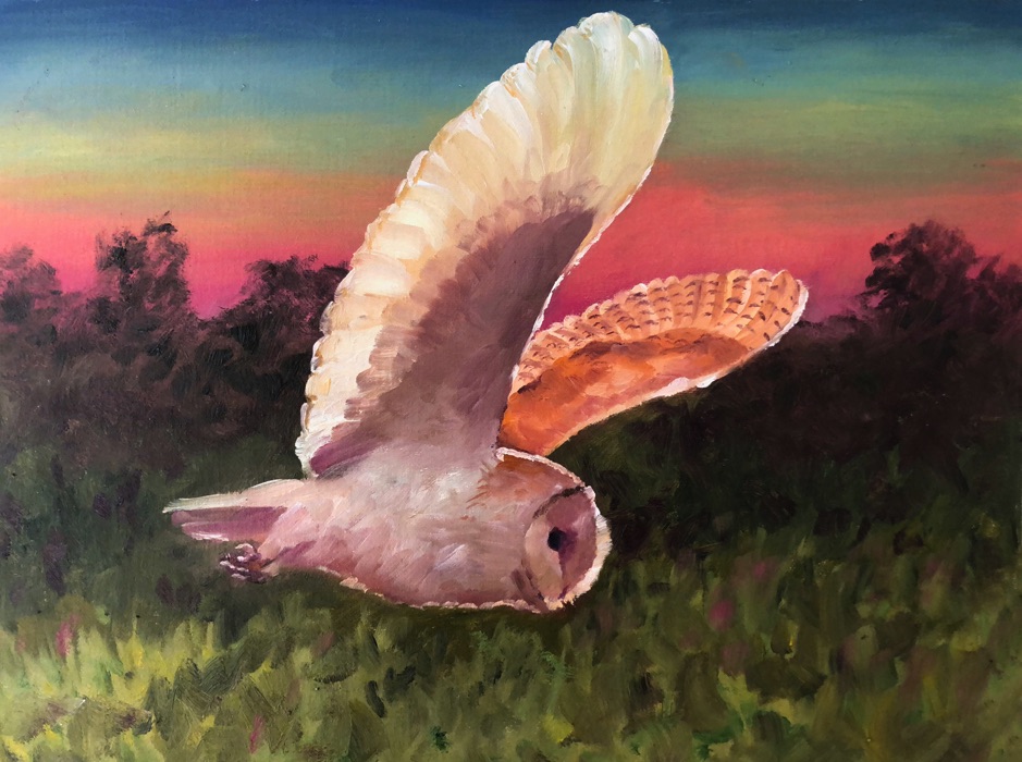 oil painting of barn owl