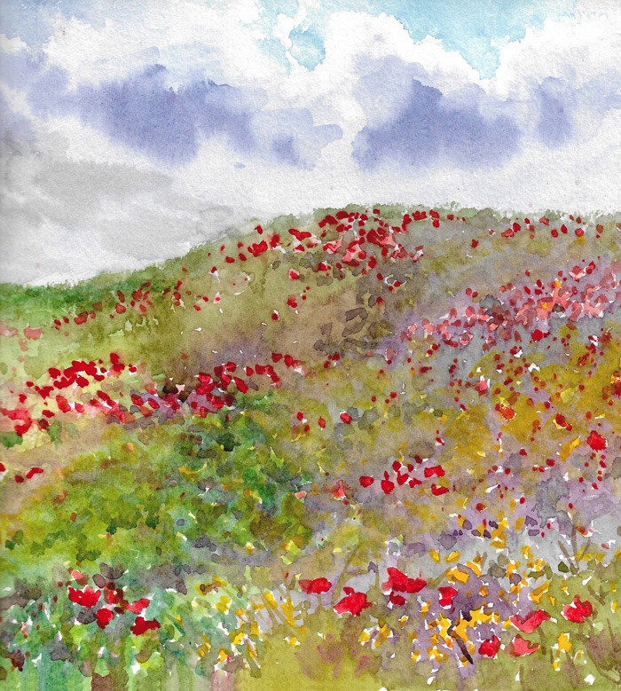 painting of Norfolk poppy field